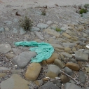 plastic bags, litter, trash, ocean, marine debris